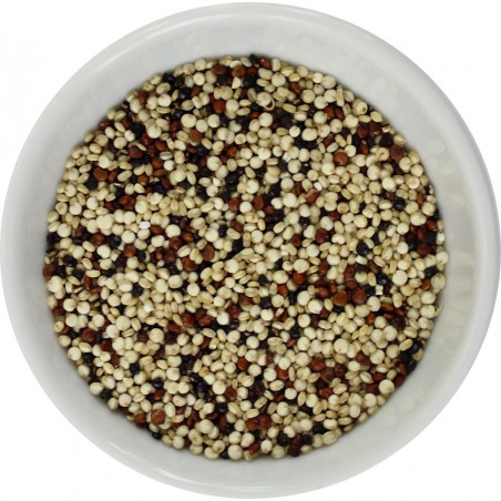 QUINOA TRÓJKOLOROWA BIO (SUROWIEC) (25 kg) 8