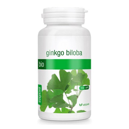 MIŁORZĄB JAPOŃSKI BIO (GINKGO BILOBA) 70 KAPSUŁEK (250 mg) - PURASANA