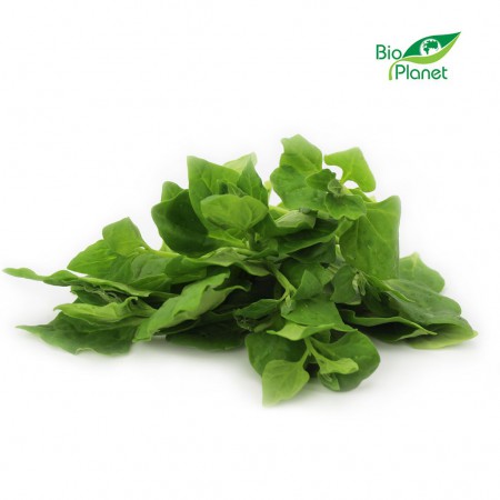 SZPINAK NOWOZELANDZKI BIO (POLSKA) (około 0,10 kg)