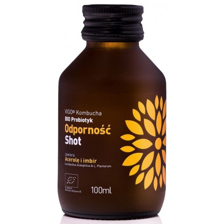 SHOT KOMBUCHA ODPORNOŚĆ BEZGLUTENOWY BIO 100 ml - VIGO
