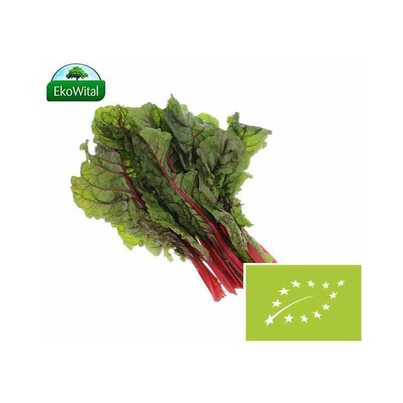 Botwina BIO 1 pęczek