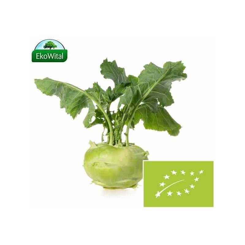 Kalarepa BIO 1 szt