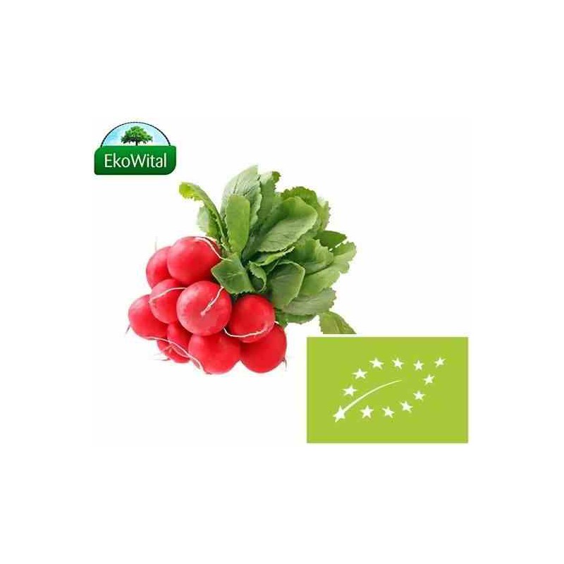 Rzodkiewka BIO 1 pęczek