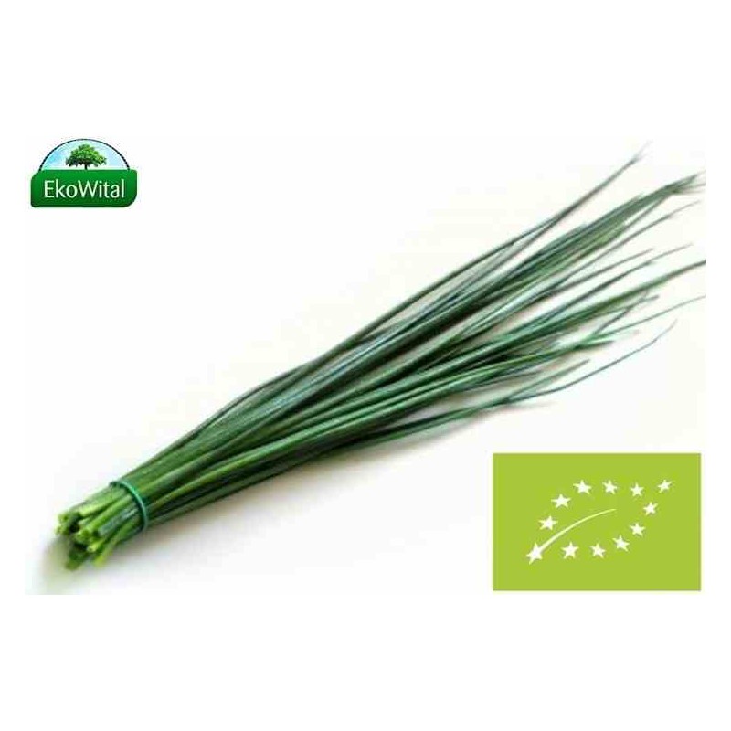 Szczypiorek BIO 1 pęczek