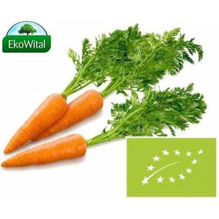 Marchew pęczek BIO 1 szt