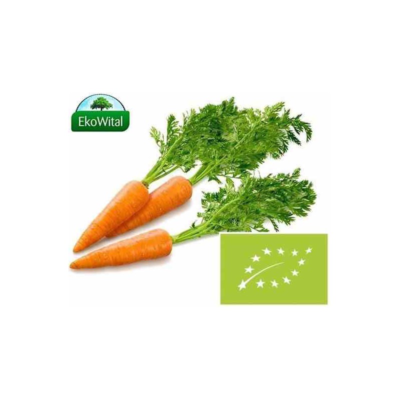 Marchew pęczek BIO 1 szt