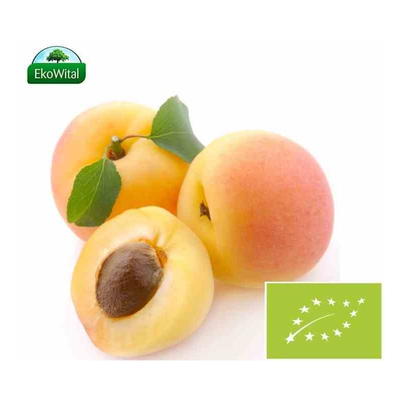 Morela BIO IMPORT 1 kg