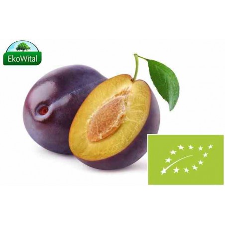 Śliwka BIO IMPORT 1 kg