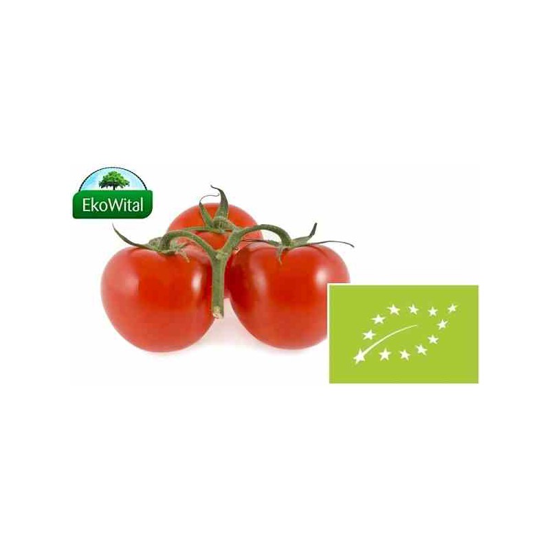 Pomidor na gałązce BIO IMPORT 1 kg