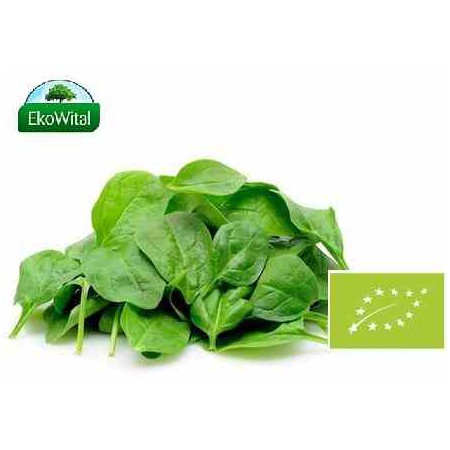 Szpinak Baby BIO IMPORT 100 g