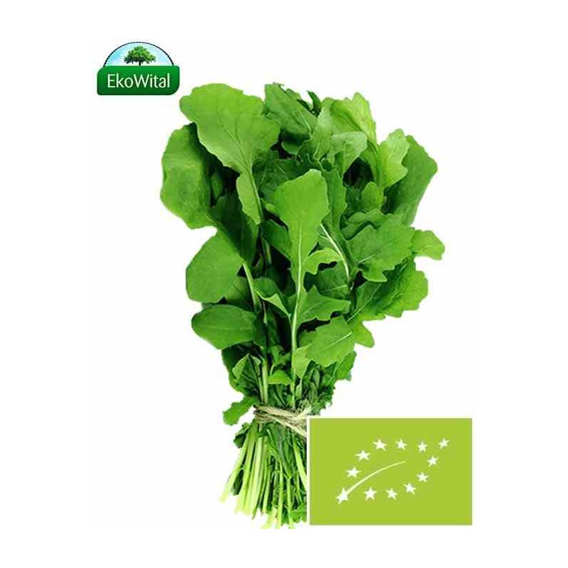 Rukola BIO IMPORT 100 g