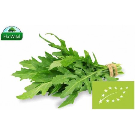 Rukola wąskolistna BIO 100 g