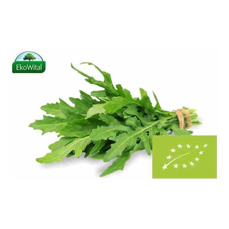 Rukola wąskolistna BIO 100 g