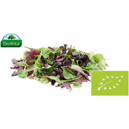 Mix sałat BIO IMPORT 100 g
