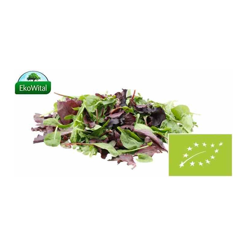 Mix sałat BIO IMPORT 100 g