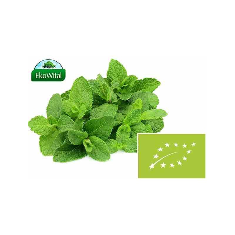Mięta BIO 50 g