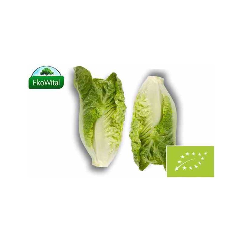 Sałata rzymska mini BIO 2 szt