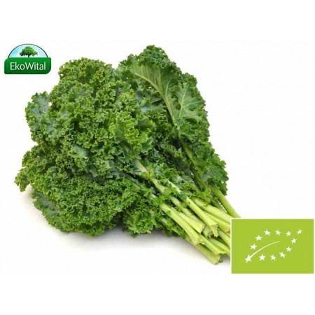 Jarmuż mix BIO 1 szt