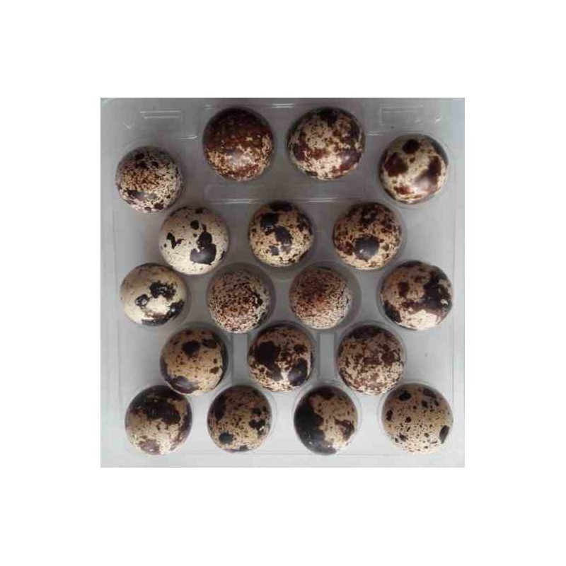 Jaja przepiórcze 18 szt.