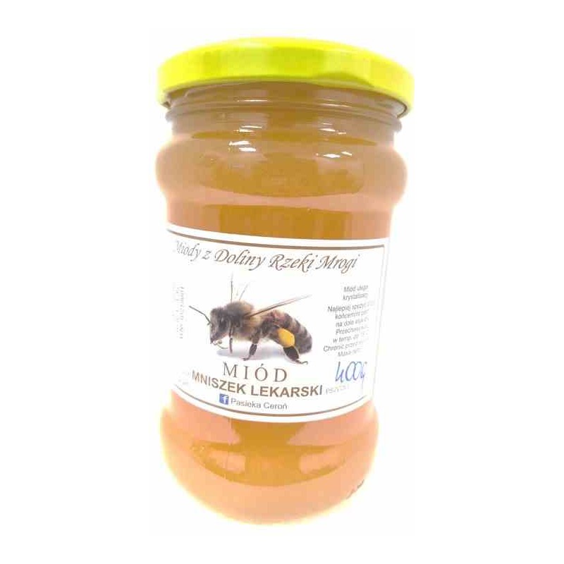 Miód z mniszka lekarskiego 400 g