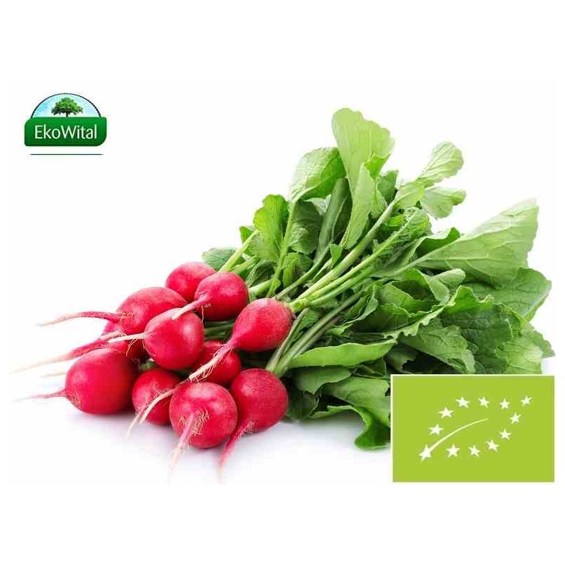 Rzodkiewka BIO IMPORT 1 szt