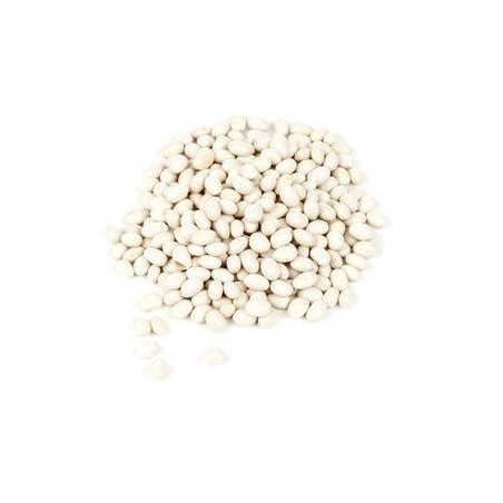 FASOLKA BIAŁA BIO (SUROWIEC) (25 kg) 4