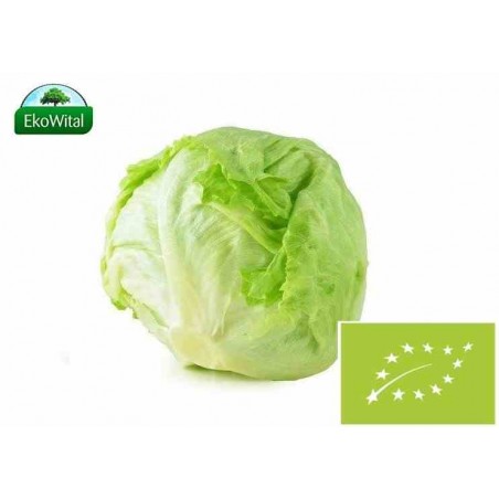 Sałata lodowa BIO IMPORT 1 szt