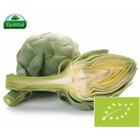 Karczoch BIO IMPORT 1 szt