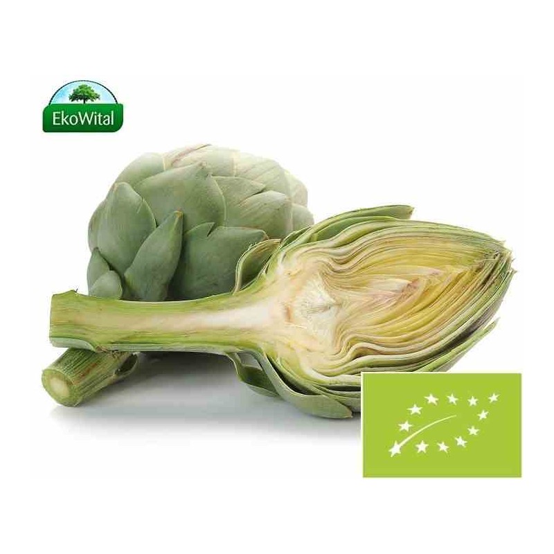 Karczoch BIO IMPORT 1 szt