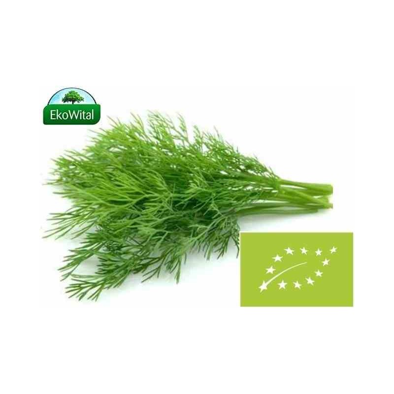 Koperek pęczek BIO IMPORT 1 szt (SPRZEDAŻ PO 5 SZT)