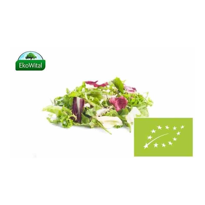 Mix sałat szpinak- raddicchio - rukola BIO IMPORT 100 g