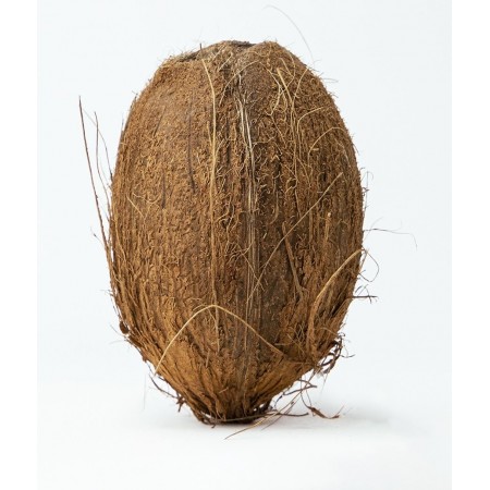 KOKOS DOJRZAŁY BIO (około 0,30 kg) - GENUINE COCONUT