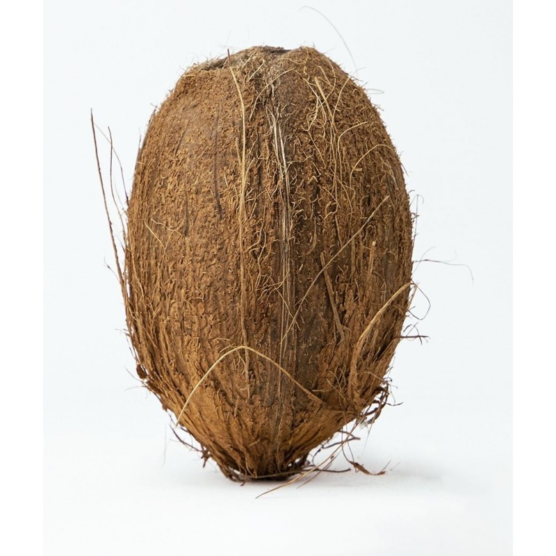 KOKOS DOJRZAŁY BIO (około 0,30 kg) - GENUINE COCONUT