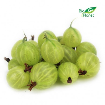 OPAKOWANIE ZBIORCZE (kg) - AGREST ŚWIEŻY BIO (POLSKA) (około 5 kg)