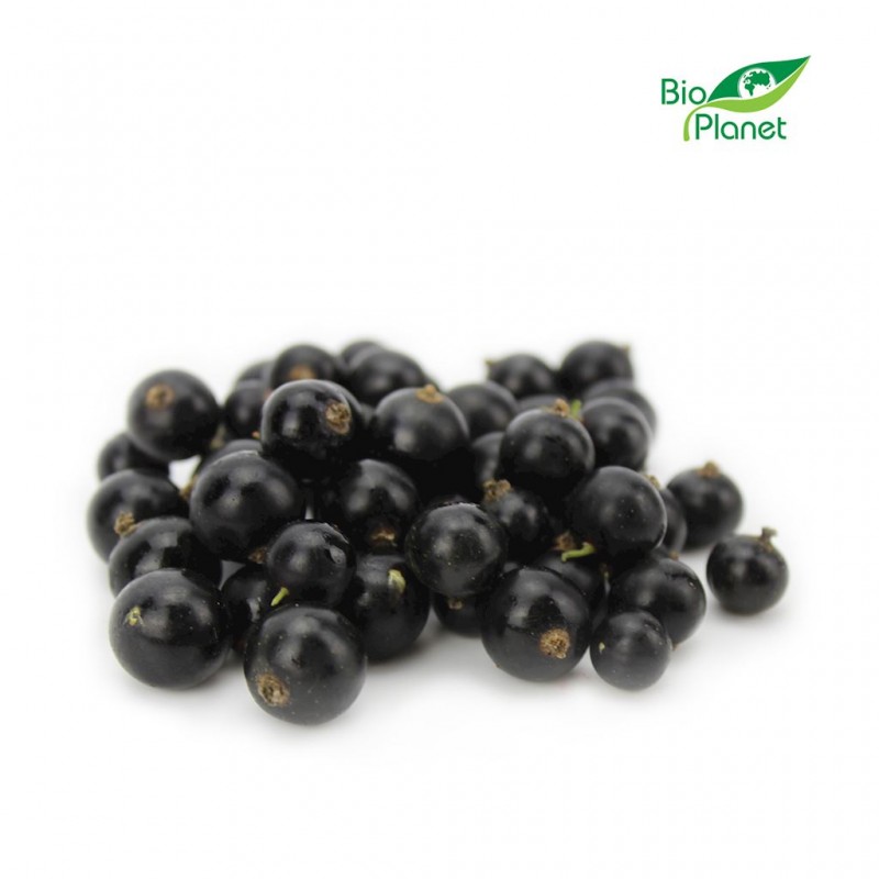 PORZECZKI CZARNE ŚWIEŻE BIO (POLSKA) (około 0,20 kg)