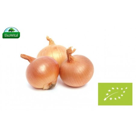 Cebula BIO IMPORT 1 kg