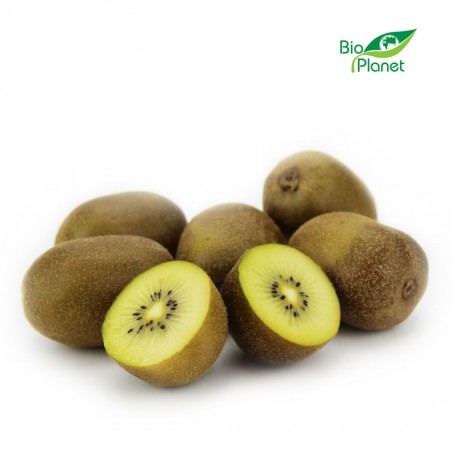 OPAKOWANIE ZBIORCZE (kg) - KIWI ŻÓŁTE ŚWIEŻE BIO (około 6 kg)