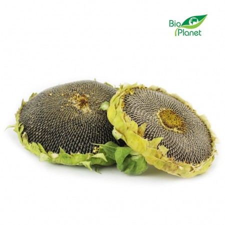 SŁONECZNIK ŚWIEŻY BIO (POLSKA) (około 0,50 kg)