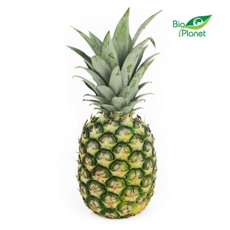 OPAKOWANIE ZBIORCZE (szt) - ANANAS ŚWIEŻY BIO (około 12 sztuk)