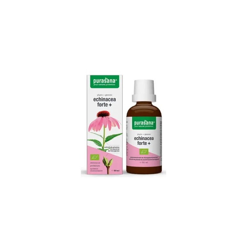 JEŻÓWKA PURPUROWA (ECHINACEA FORTE) KROPLE BIO 50 ml - PURASANA