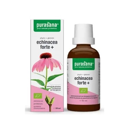 JEŻÓWKA PURPUROWA (ECHINACEA FORTE) KROPLE BIO 50 ml - PURASANA