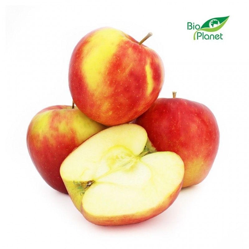 OPAKOWANIE ZBIORCZE (kg) - JABŁKA ŚWIEŻE BIO (ALWA - POLSKA) (około 13 kg)