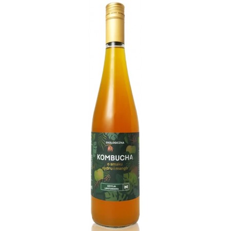 KOMBUCHA O SMAKU CYDRU I MANGO BIO 750 ml - DELIKATNA (ZAKWASOWNIA)