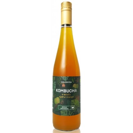 KOMBUCHA O SMAKU CYDRU I MANGO BIO 750 ml - DELIKATNA (ZAKWASOWNIA)