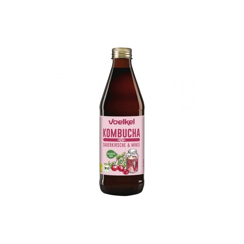 Kombucha wiśnia-mięta BIO 330 ml