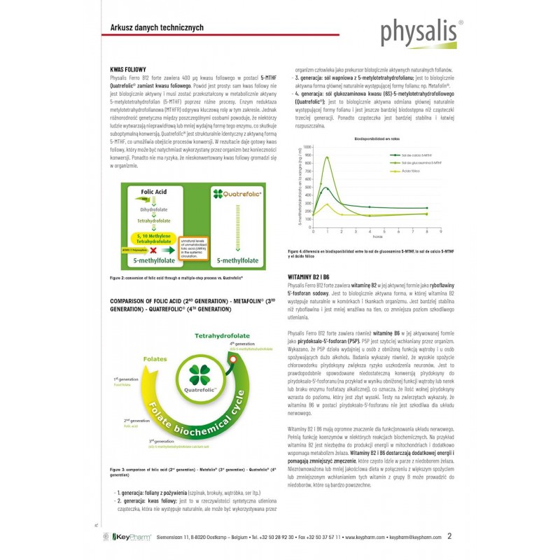 ŻELAZO + WITAMINA B12 FORTE 45 TABLETEK - PHYSALIS