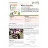 MACA FORTE BIO 30 TABLETEK - PHYSALIS