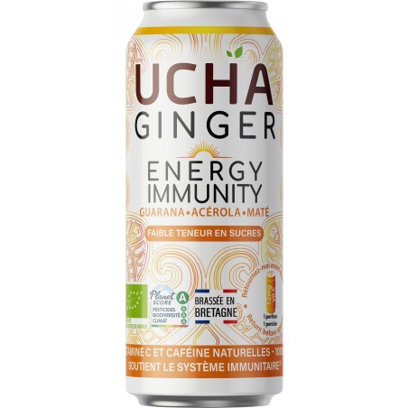 NAPÓJ Z YERBA MATE I GUARANĄ FAIR FOR LIFE BIO 330 ml - UCHA