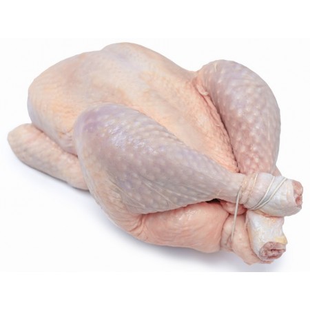 KURCZAK (TUSZKA CAŁA) SUROWA BIO (około 2,0 kg) - WIELKOPOLSKI KURCZAK (NA ZAMÓWIENIE)