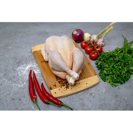 KURCZAK (TUSZKA CAŁA) SUROWA BIO (około 2,0 kg) - WIELKOPOLSKI KURCZAK (NA ZAMÓWIENIE)